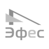 Группа компаний «Эфес»